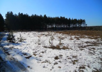 działka na sprzedaż - Lubicz, Lubicz Dolny