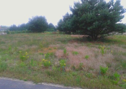 działka na sprzedaż - Obrowo, Głogowo