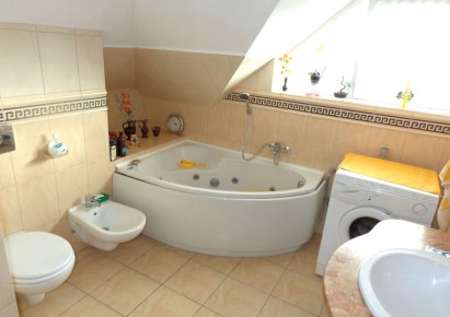 dom na sprzedaż - Łysomice