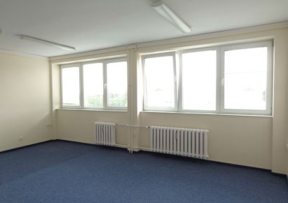 lokal na wynajem - Toruń, Bielany